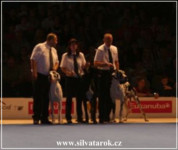 group-svetovka-france-2011.jpg